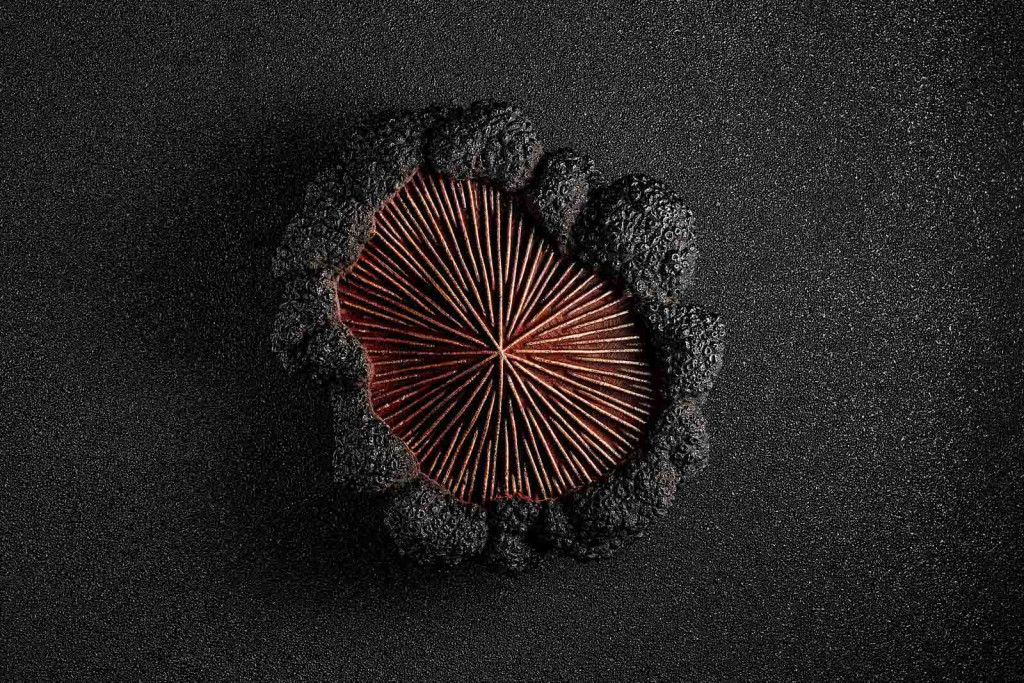 Notes de fruits secs, inspirations chocolatées, courbes design, thés grands crus ou encore truffe… Les pâtissiers-stars ont rivalisé d'imagination pour ces fêtes de fin d'année. Retour en enfance garanti avec ces bûches de grands chefs dont s'est délectée la rédaction de YONDER.