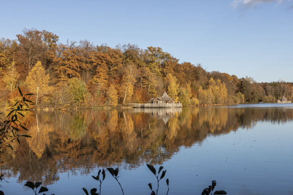Entre les Vosges et le Jura, à deux pas de l'Alsace et de la frontière suisse, la cité du Lion fort reste étrangement discrète pour une ville avec autant de caractère. Autour, la nature est proche : lacs, forêts et sommets vosgiens sont à portée de route. Voici notre sélection des plus beaux hôtels et chambres d'hôtes à Belfort.