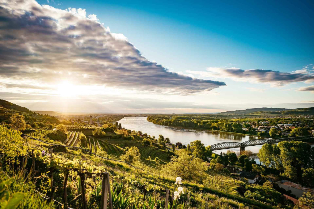 Terrasses de vignes accrochées à flanc de montagne, villages médiévaux aux clochers baroques, rives du Danube ponctuées d’abbayes, de châteaux et de forêts : la vallée de la Wachau déroule ses paysages de carte postale entre Melk et Krems, à deux pas de Vienne. Notre itinéraire clé en main.