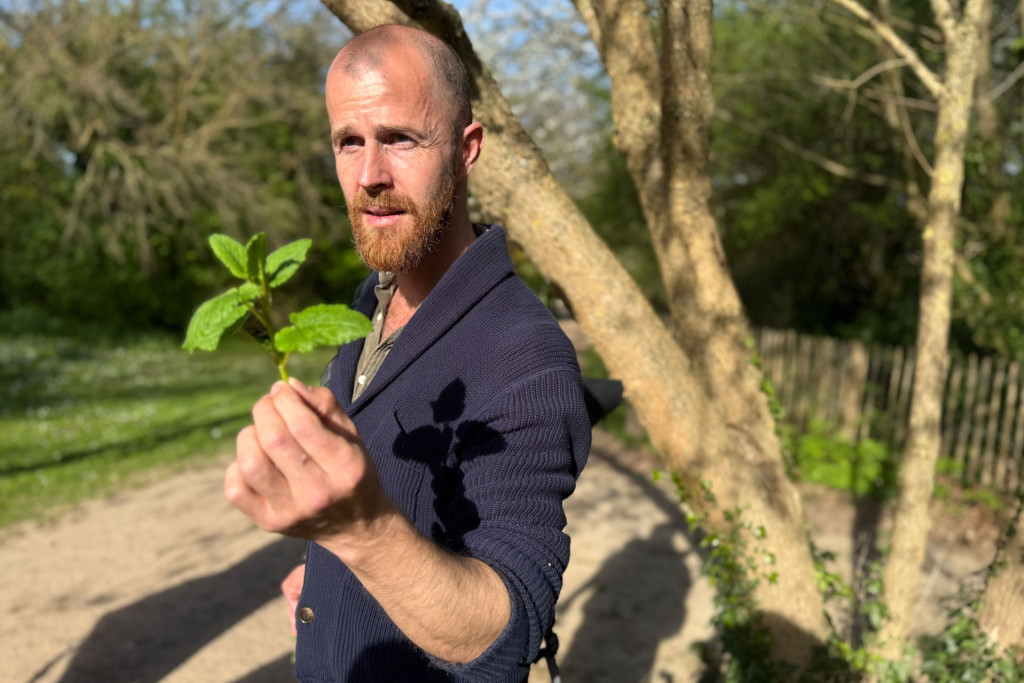 Ramasser des herbes c’est bien, espérer s’en nourrir, c’est louable… sauf que plus de 300 espèces sont toxiques. Alors mieux vaut bien s’informer et se former. Tour d’horizon et carnet d’adresses d’une tendance food en plein essor.