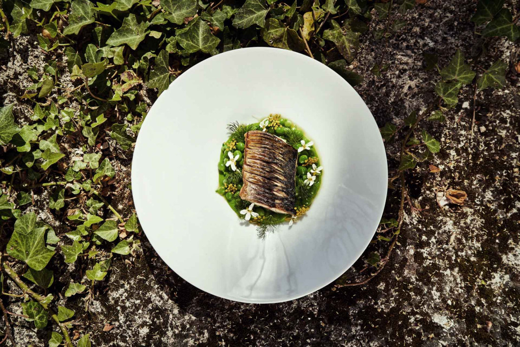 De Dijon à Marseille en passant par Mâcon, Vienne, Lyon ou Valence, la route se fait gourmande : elle conduit de délices en cépages et de terroirs en paysages. En suivant la Vallée de la Gastronomie, on avale les kilomètres avec d’autant plus de plaisir que chaque étape est promesse de saveurs nouvelles et de découvertes à partager.
