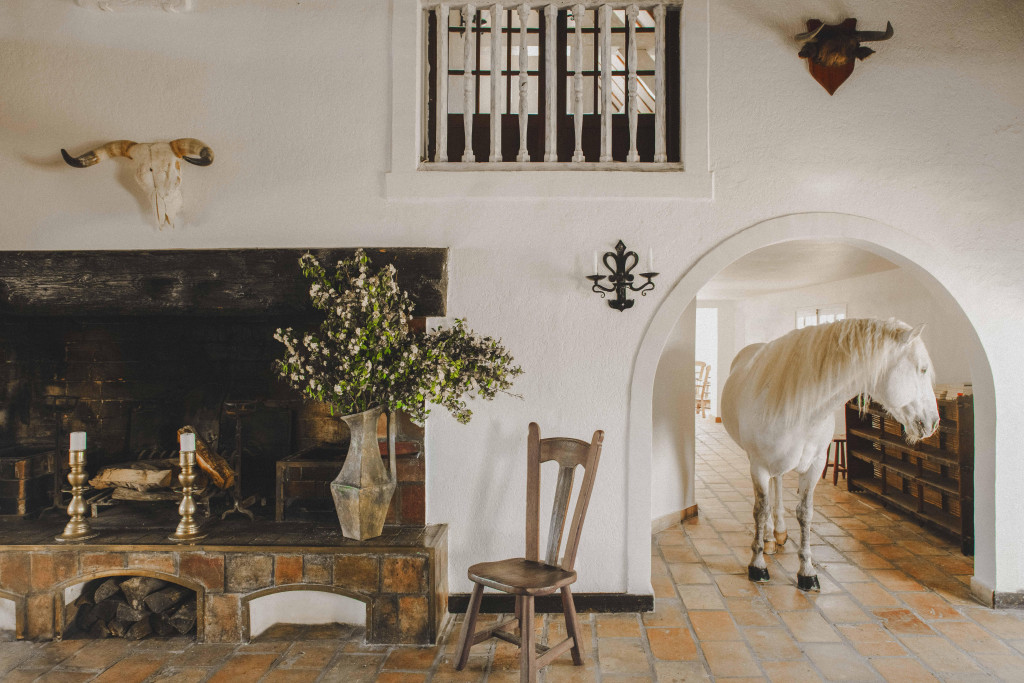 Direction la Camargue : notre sélection de cinq hôtels d’exception où design, nature sauvage, patrimoine et douceur de vivre inventent le séjour parfait 