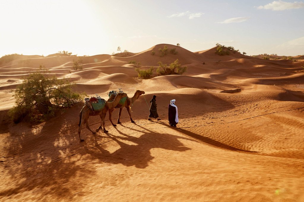 Déserts de sable, îles aux rythmes chaloupés ou volcans endormis sous la chaleur des tropiques : voici cinq destinations où partir au soleil en hiver. 
