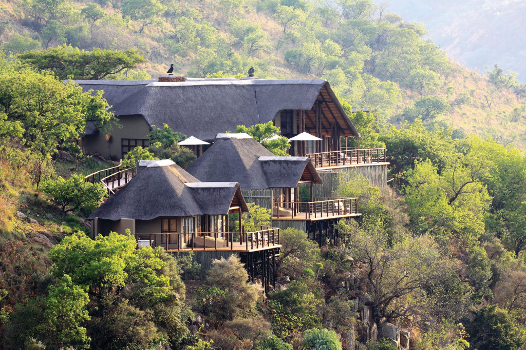 Plus durable, plus humain et toujours aussi fascinant : le safari se réinvente ! Nos cinq idées pour vivre un safari écoresponsable en Afrique, entre lodges engagés, conservation de la biodiversité, communautés locales et expériences hors des sentiers battus.