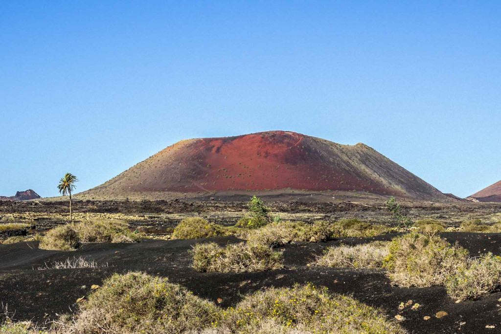 Que faire à Lanzarote, à la pointe nord-est de l’archipel des Canaries, une île qui émerge de l’océan Atlantique avec son architecture abstraite imaginée par Cesar Manrique et ses paysages lunaires ceinturés de cratères, de sommets et de criques sauvages. Un musée à ciel ouvert à visiter d'urgence.