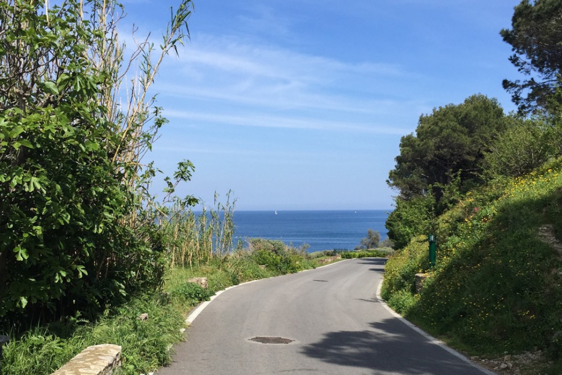 Derrière la citadelle, une petite route permet de rejoindre le sentier du littoral, superbe balade longeant la mer tout au long de la presqu’île de St-Tropez | © Yonder.fr