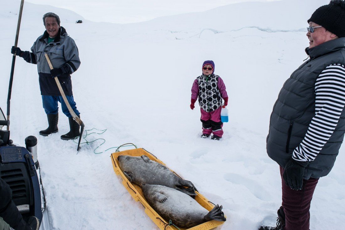 Des habitants de Tiniteqilaaq ramènent des phoques capturés au filet.