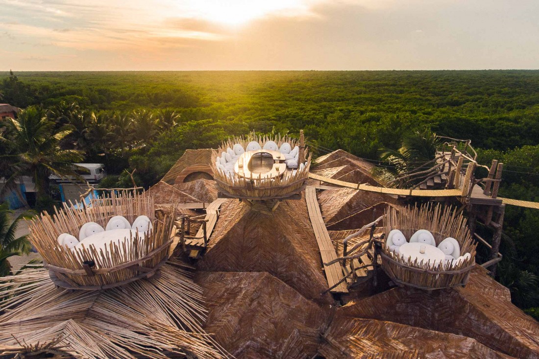 Dominant la canopée et accessible par une passerelle suspendue, le restaurant Tseen Ja croise les influences mexicaines et japonaises dans un cadre intime. 