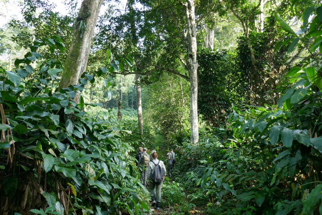 Une aventure au Congo avec Kamba © Pierre Gunther