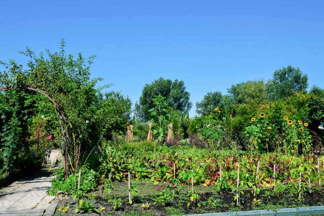 Le potager luxuriant qui fait face à la terrasse © Pierre Gunther