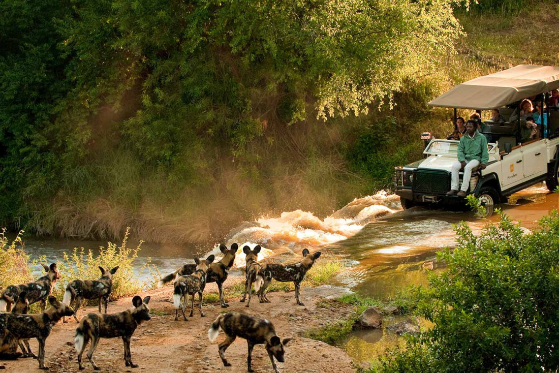 Les plus beaux safaris d'Afrique du Sud © Morokuru Family 