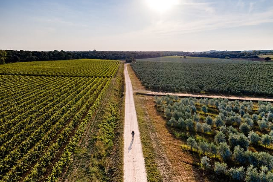Itinéraire à vélo : à la découverte d'Uzès avec Chemins