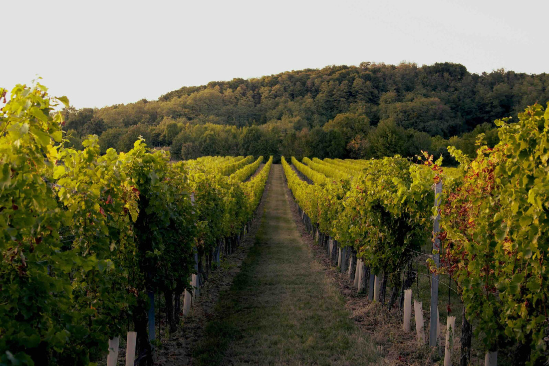 Les plus beaux hôtels 4 étoiles de Bourgogne © Hôtel (très) Particuliers