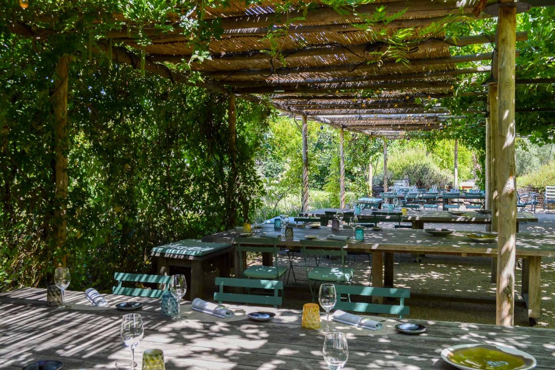 La terrasse ombragée par la vigne © Pierre Gunther