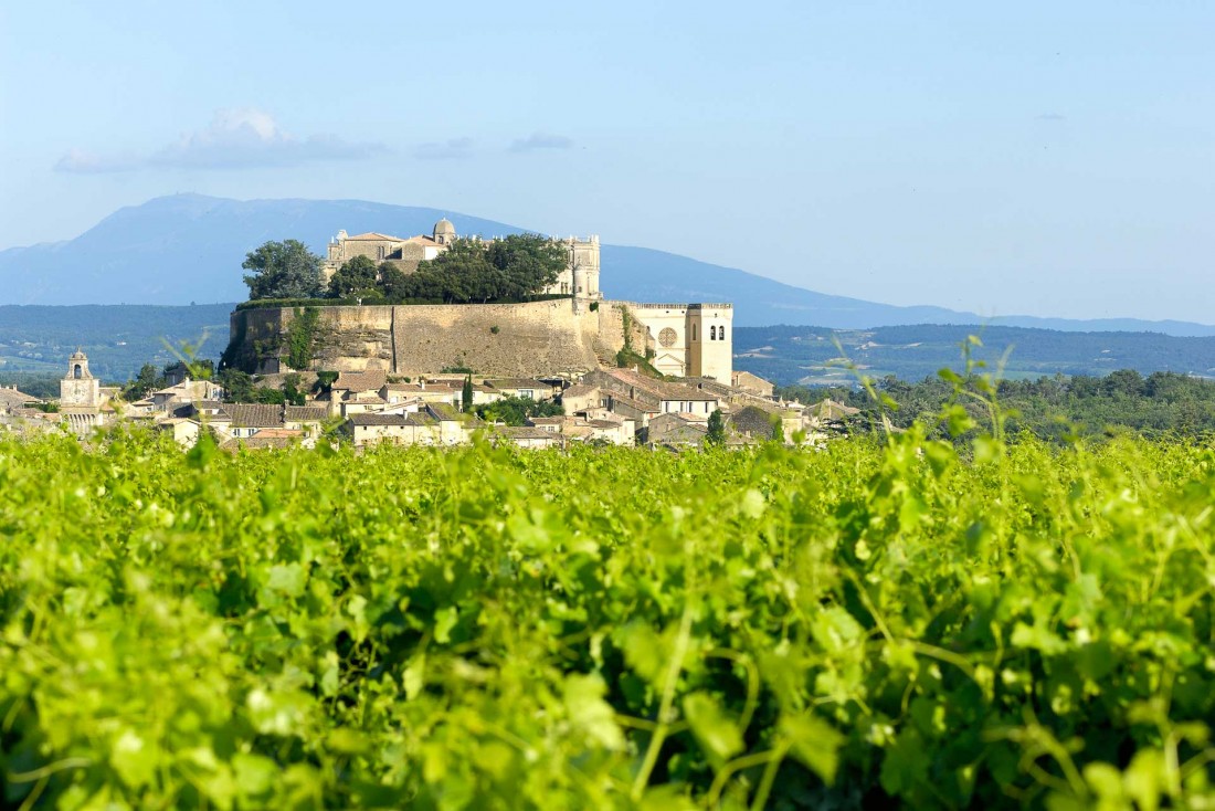 Vue sur Grignan et son château depuis le Clair de la Plume © Alain Maigre