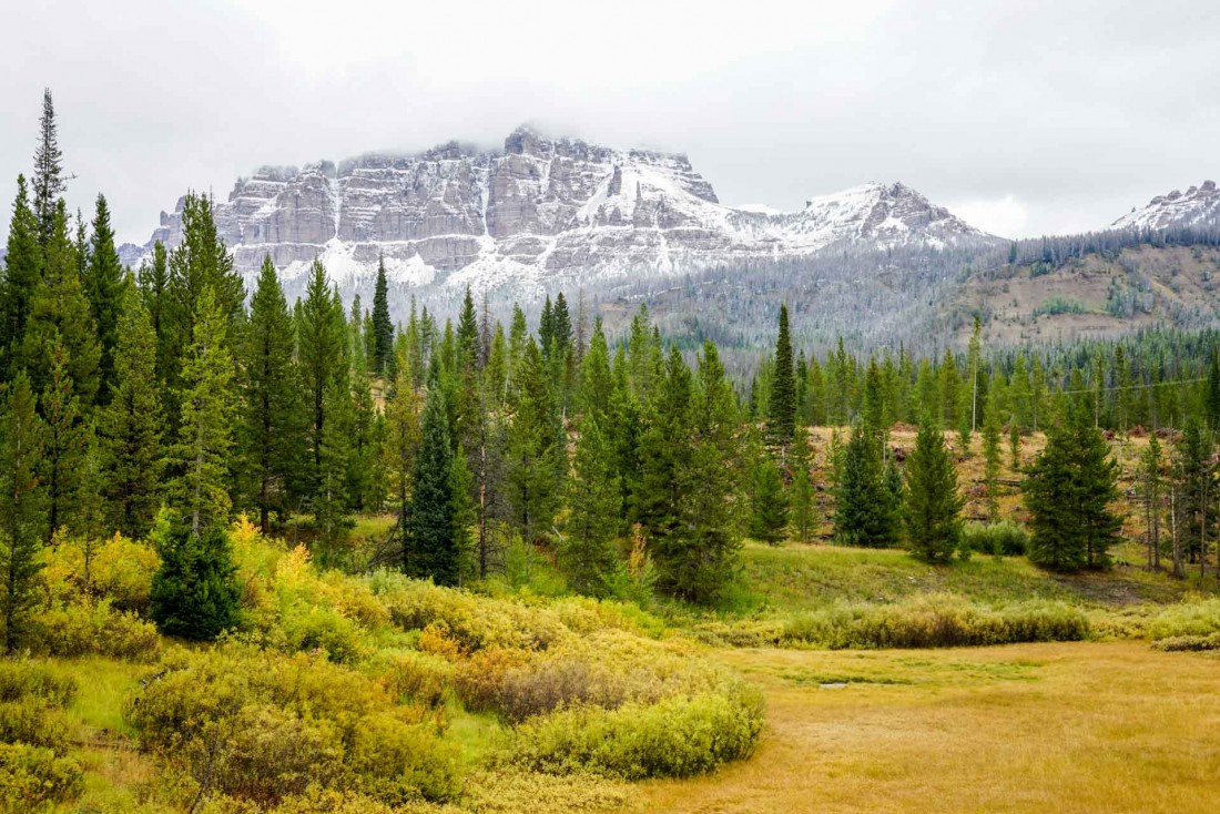 Entre sommets enneigés et plaines verdoyantes, un paysage typique du Wyoming dans la Teton National Forest.