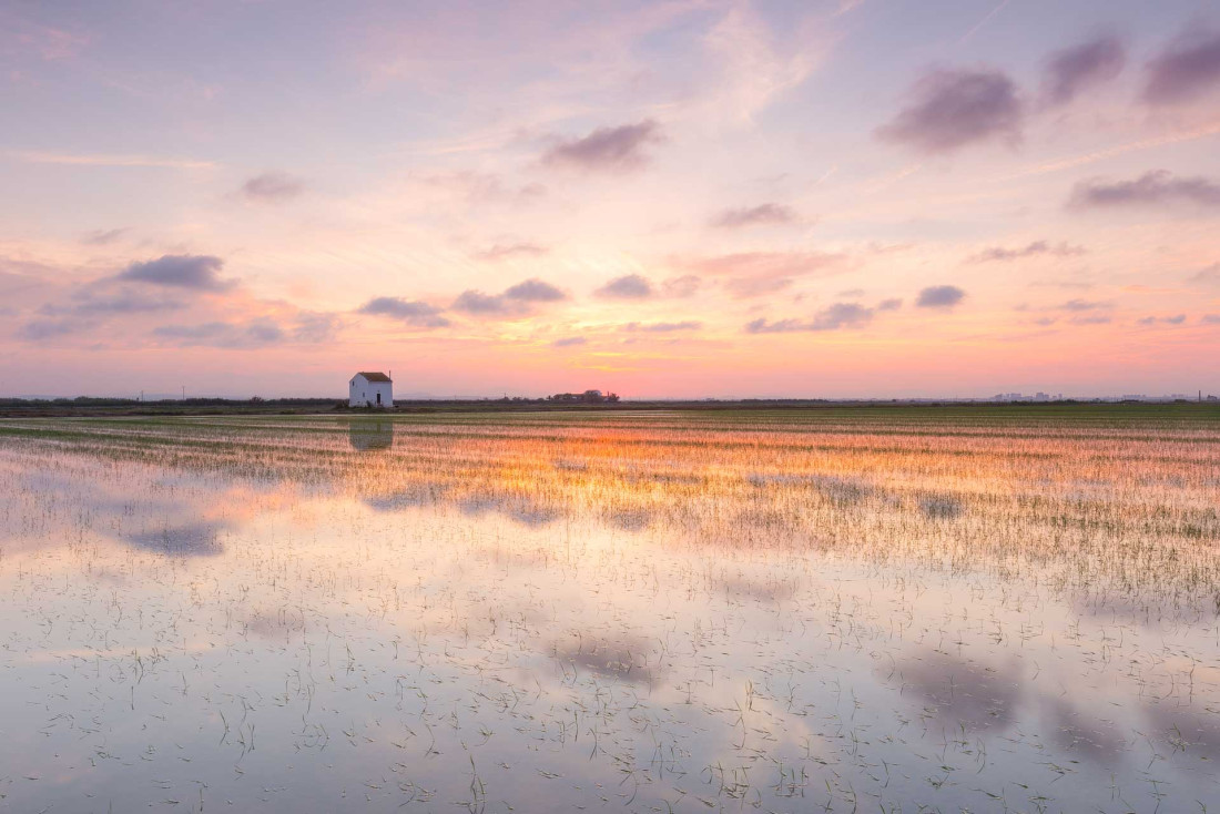 Albufera Valencia © Visit Valencia