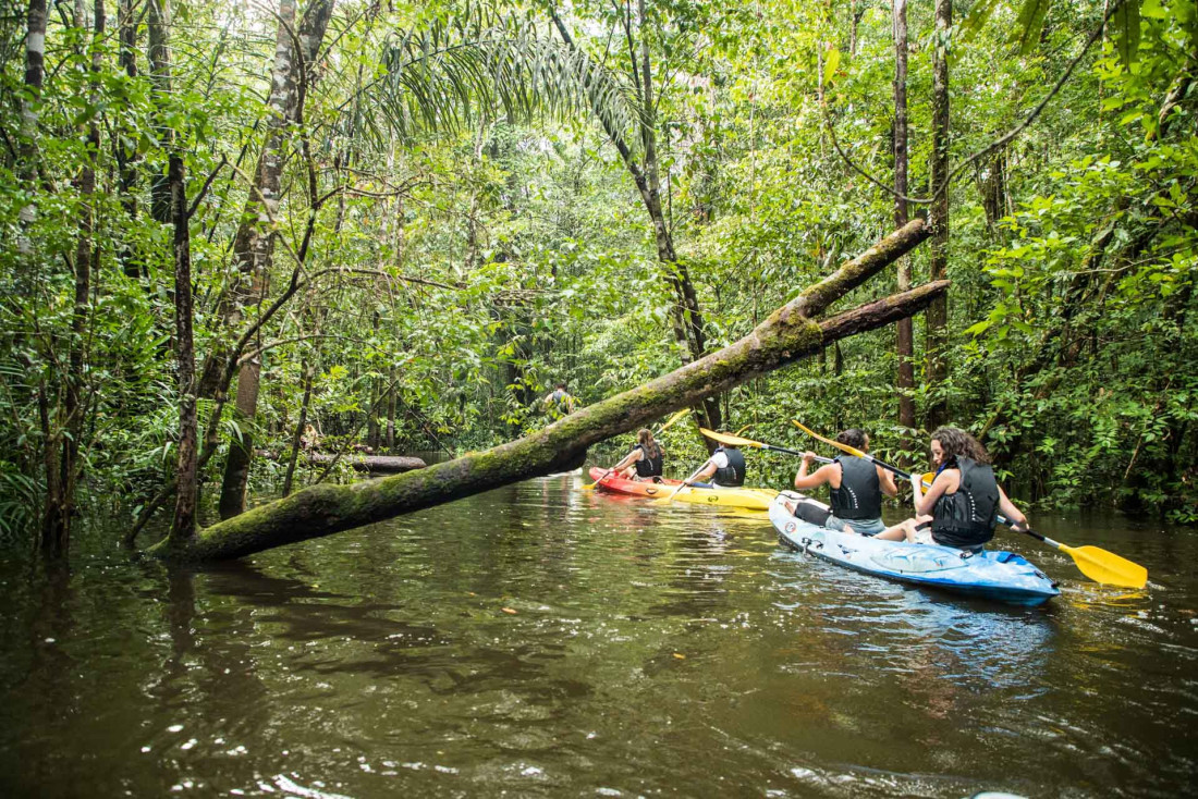 Canoe en Guyane © Wladimir Kinnoo