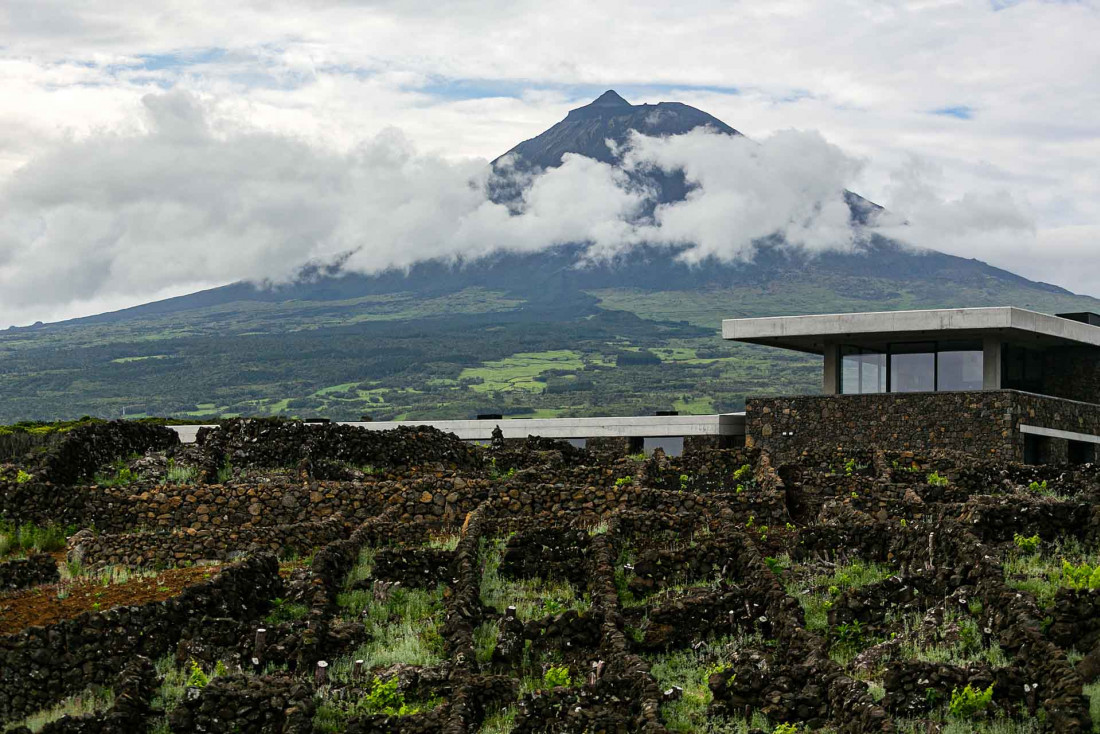 Le nouveau chais de la Azores Wine Company sur l'île de Pico, avec le plus haut sommet du Portugal à l'arrière-plan © Rui Soares