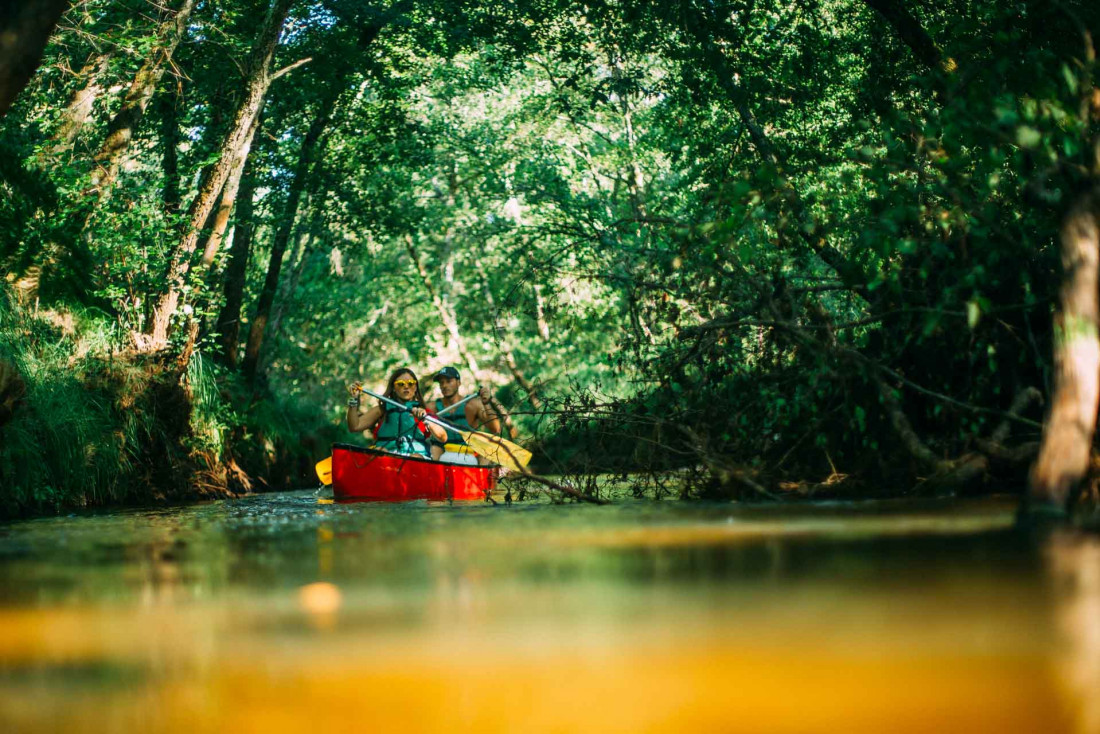 Canoe en famille sur la Leyre dans les Landes © Sébastien Chebassier