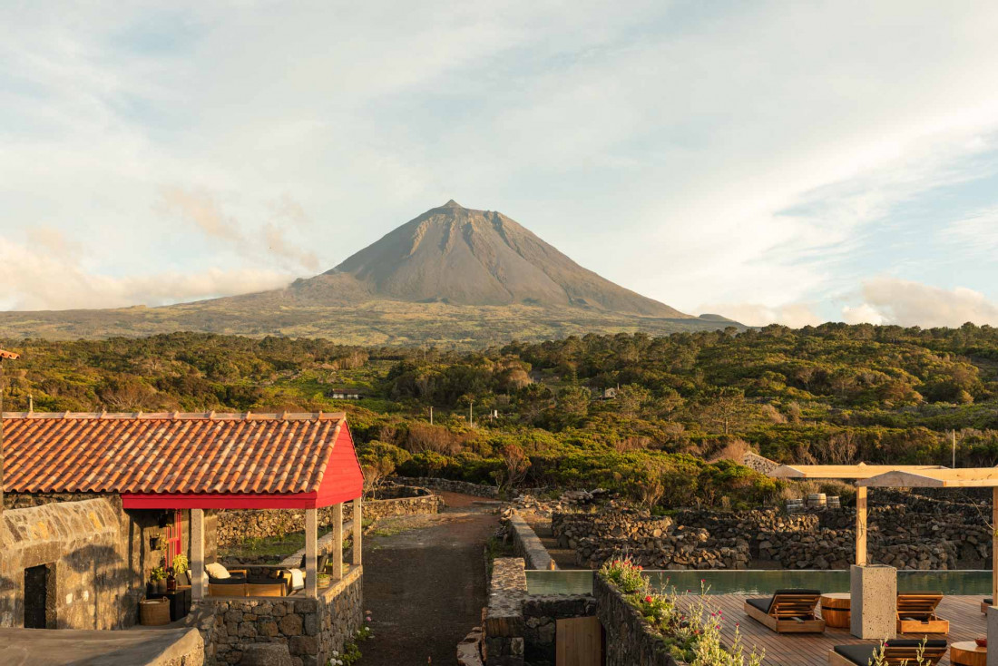 Adega do Fogo et sa vue sur le volcan Pico © Francisco Nogueira