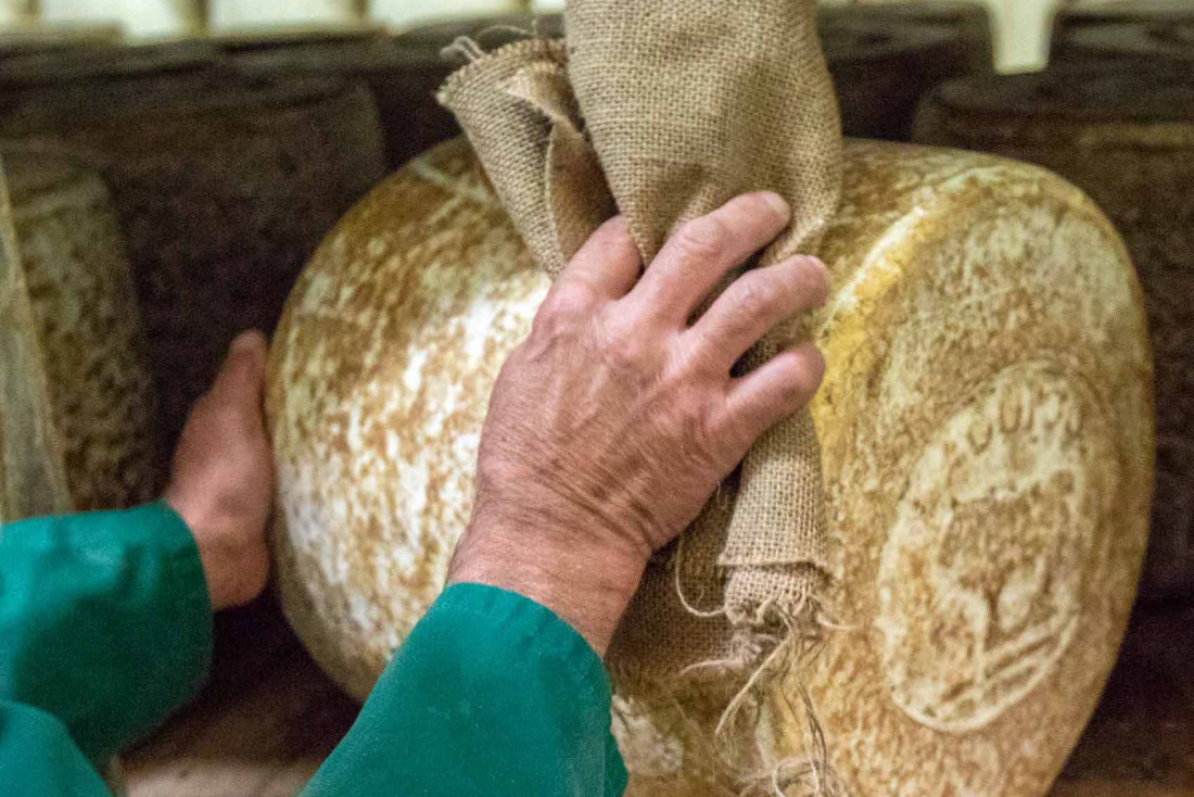 Affinage du Laguiole AOP © François Lemanciel