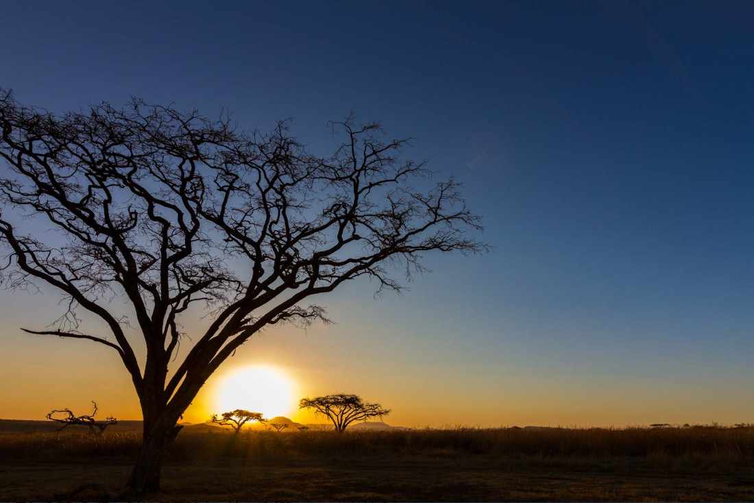 Un safari en plein coeur d'une réserve en Afrique © Alain Barblan