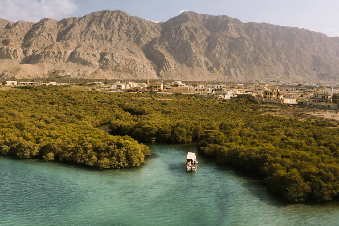 La ferme perlière Suwaidi Pearl face à la mangrove © Visit Ras Al Khaimah