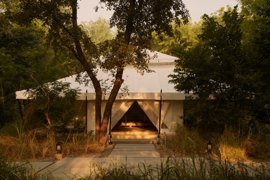 Notre avis sur l’Aman-i-Khás, glamping et safari ultra luxe au cœur de la jungle de Ranthambore au Rajasthan