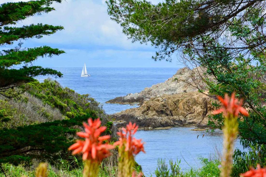 L'hôtel 4-étoiles est situé en pleine nature sur l'île de Porquerolles © Emmanuel Laveran