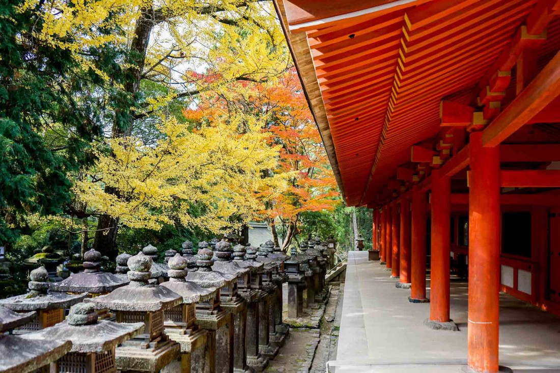 La découverte du sanctuaire shinto de Kasuga-taisha constitue l'un des temps forts d'une visite à Nara © YONDER.fr