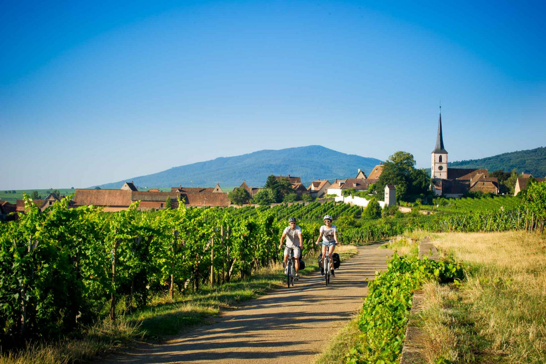 Balade à vélo sur la Route des Vins d'Alsace © ADT-Infra