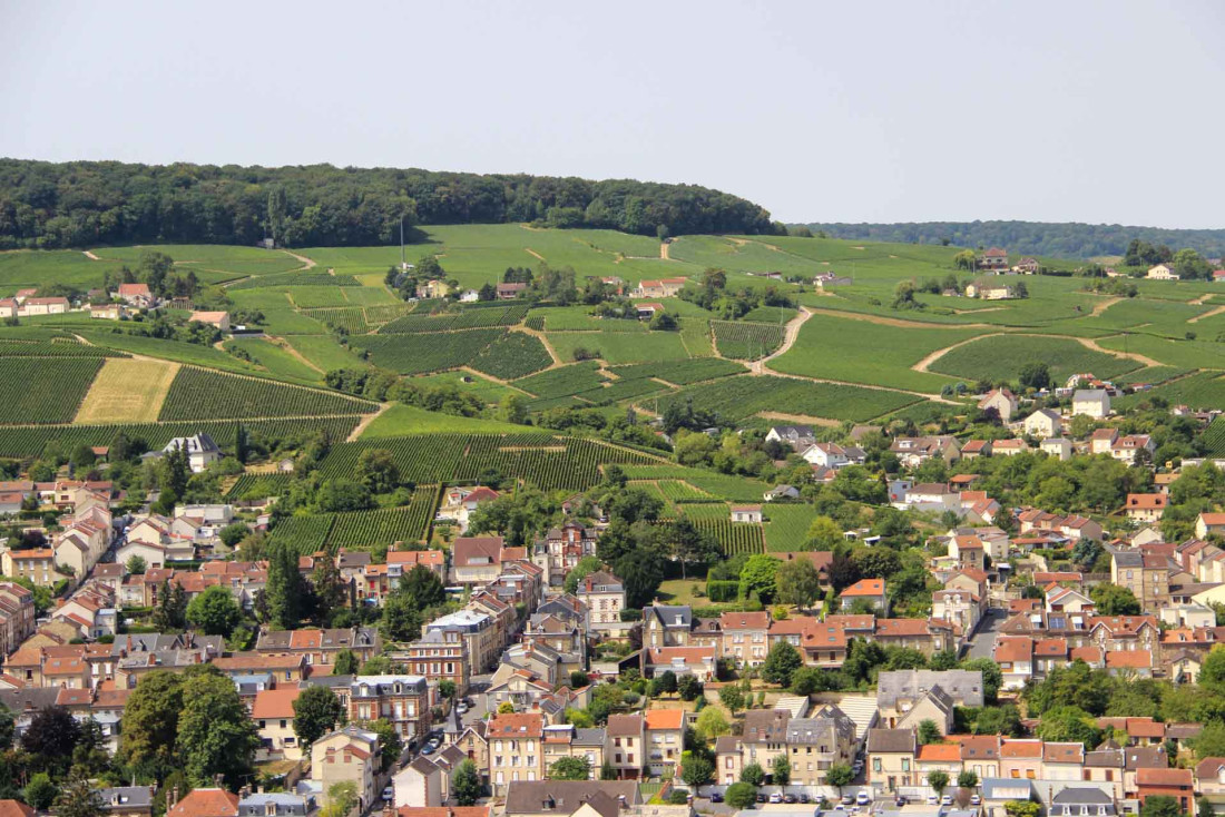 Vue sur Epernay en Champagne © E.Vidal-Coll.ADT Marne