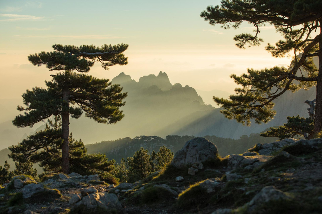 Nos idées d'hôtels pour un week-end nature en Corse, ici en Alta Rocca © C. Moirenc