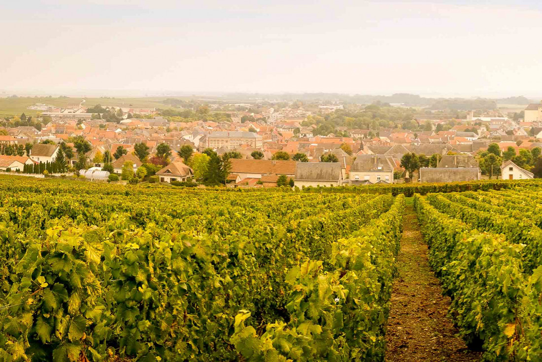 Vue sur Épernay depuis les vignes © A. Couvreux / OT Épernay