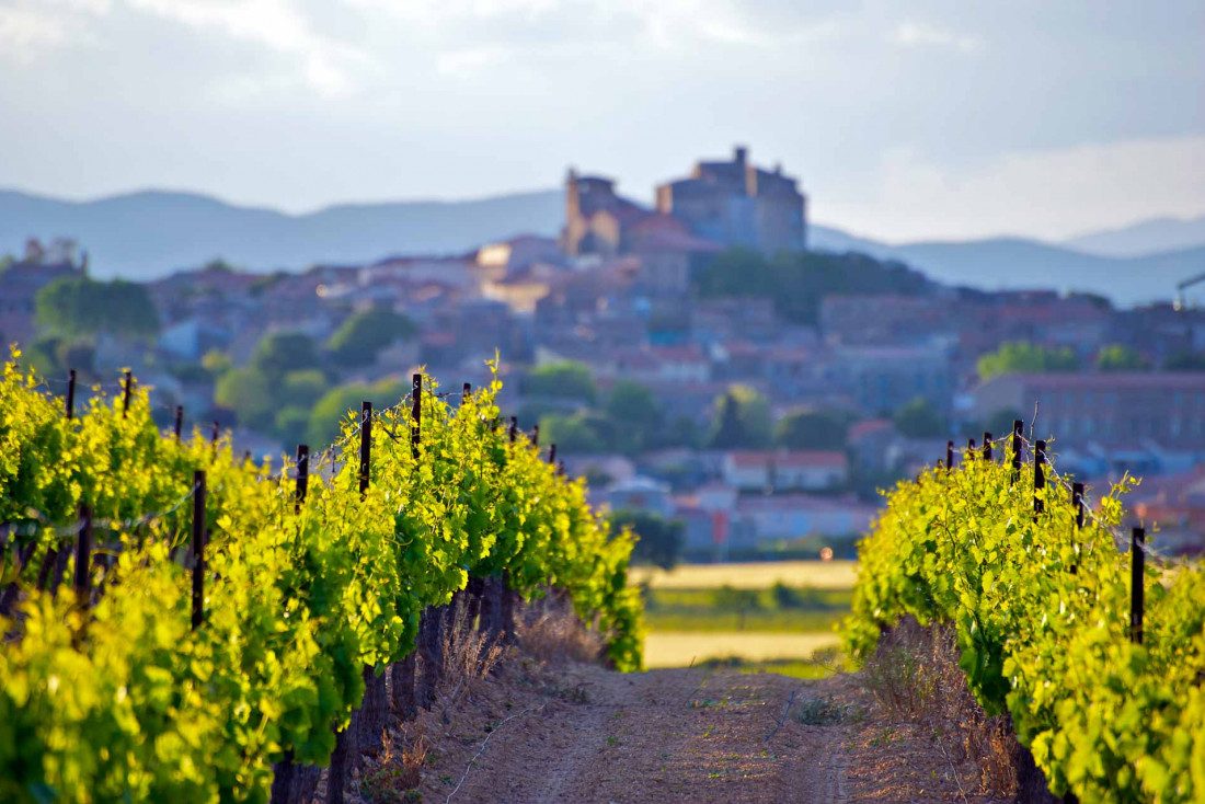 Château de Puissalicon dans le Languedoc © AdobeStock_Paul Atkinson