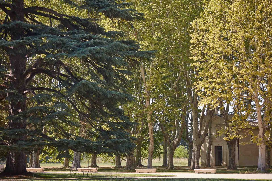 Autour du château, un vaste parc avec ses allées et arbres majestueux © DR