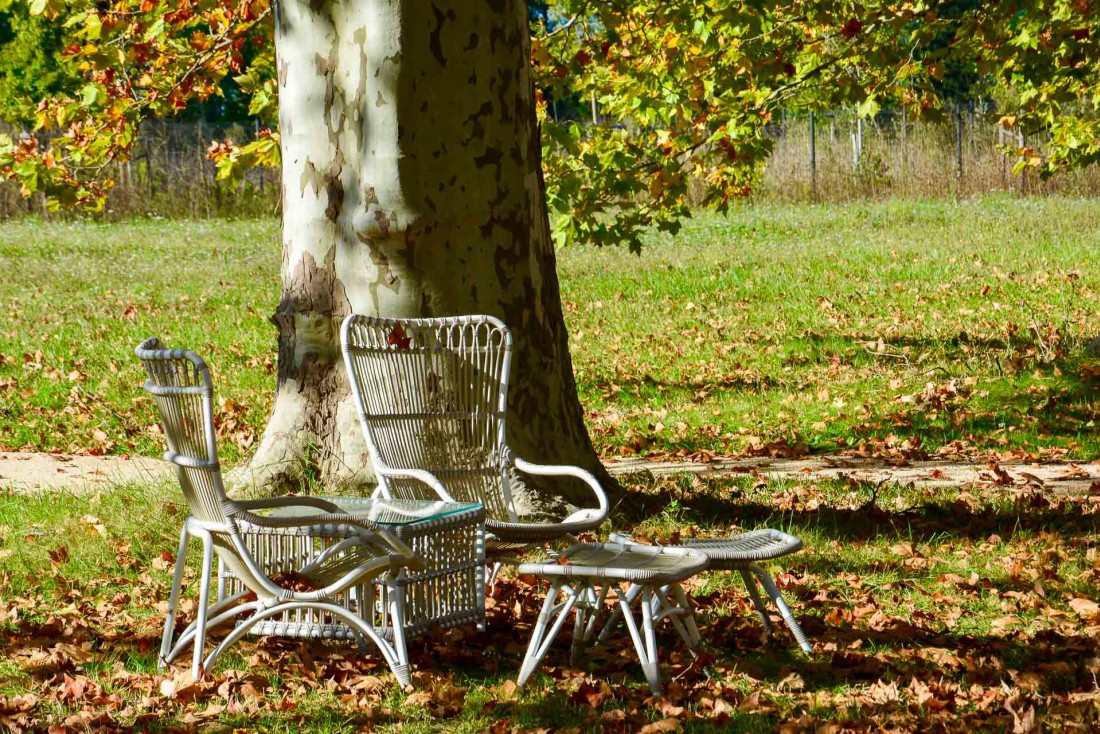 Dans le parc du Château de Fonscolombe © Emmanuel Laveran