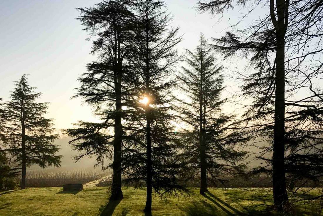 Lever de soleil vu depuis l'une des chambres du Château Le Pape © YONDER.fr