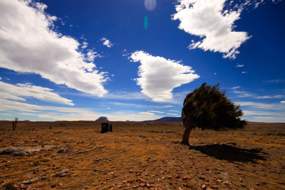 Depuis la localité de « Tres Lagos » une piste de terre et de gravier quitte la route 40. Près de 250 km et plus de 3 heures seront nécessaire pour rejoindre l’Estancia. Sur le chemin, un cabanon et un arbre « drapeau »  déformé par la violence des vents, trônent au milieu de la steppe infinie. | © Cédric Aubert