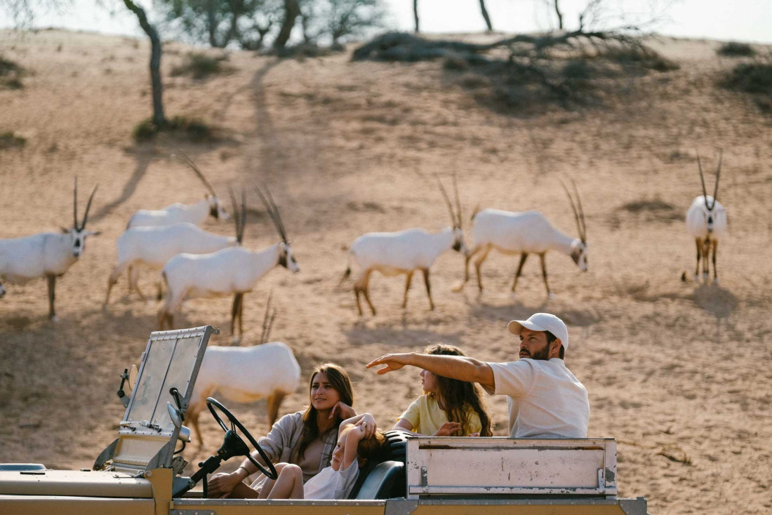 Safari dans le désert © Visit Ras Al Khaimah