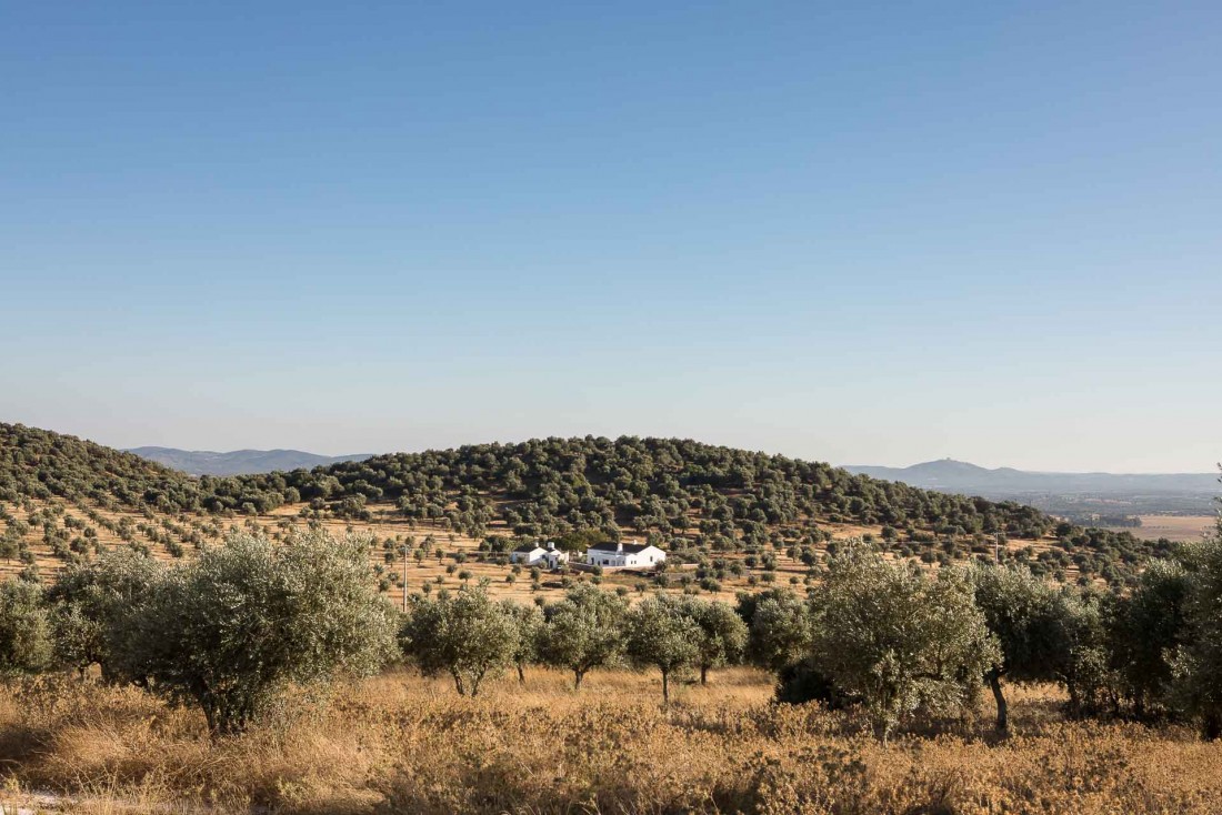 Vue sur la campagne dans l'Alentejo, vaste région rurale du Portugal © DR