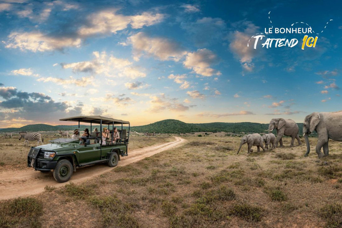 Slow safari en Afrique du Sud : comment explorer le bush de façon responsable