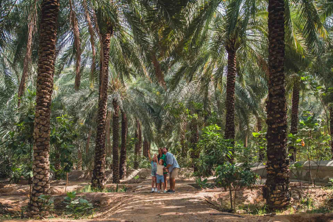 La palmeraie © Visit Ras Al Khaimah