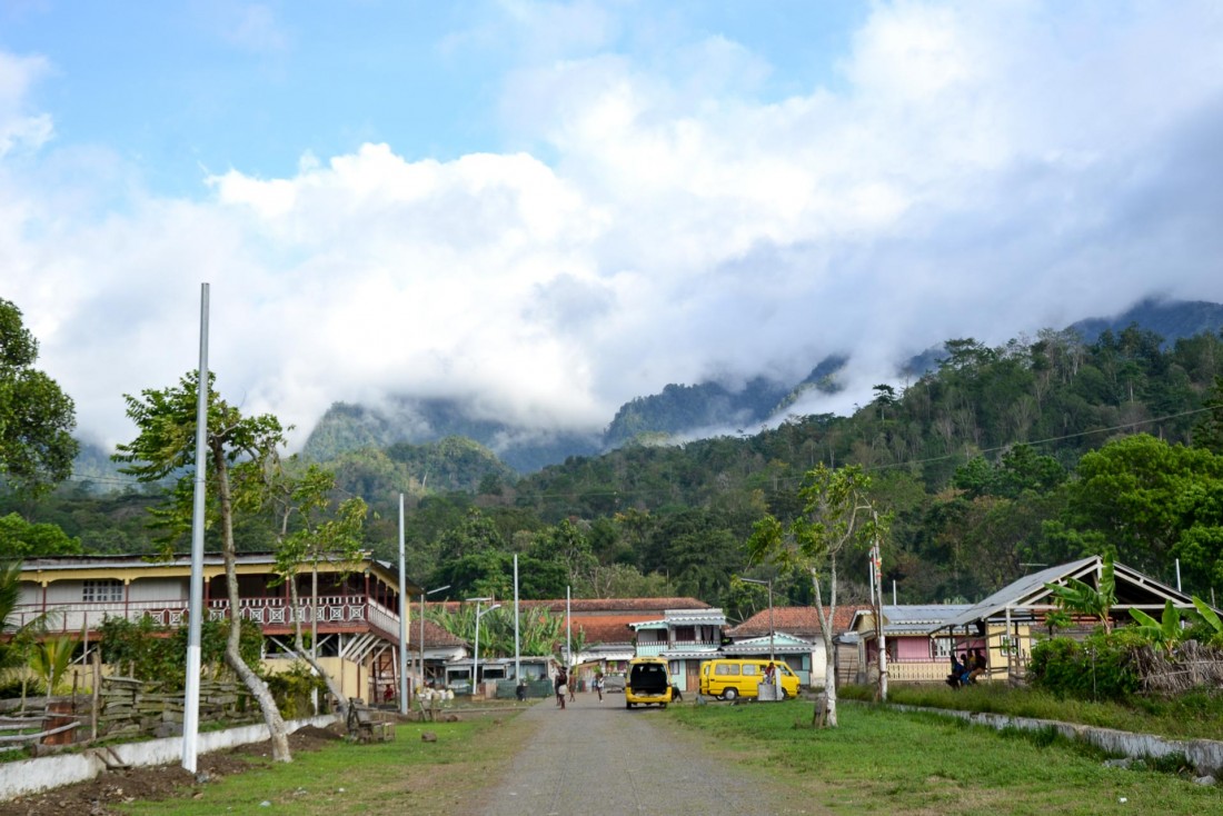 Roça Diogo Vaz, l'une des principales plantation de cacao de Sao Tomé © Alicia Dorey