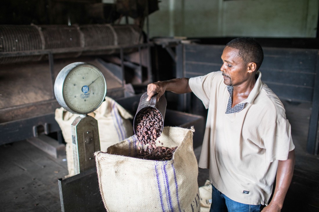 Roça Diogo Vaz, l'une des principales plantation de cacao de Sao Tomé © DR