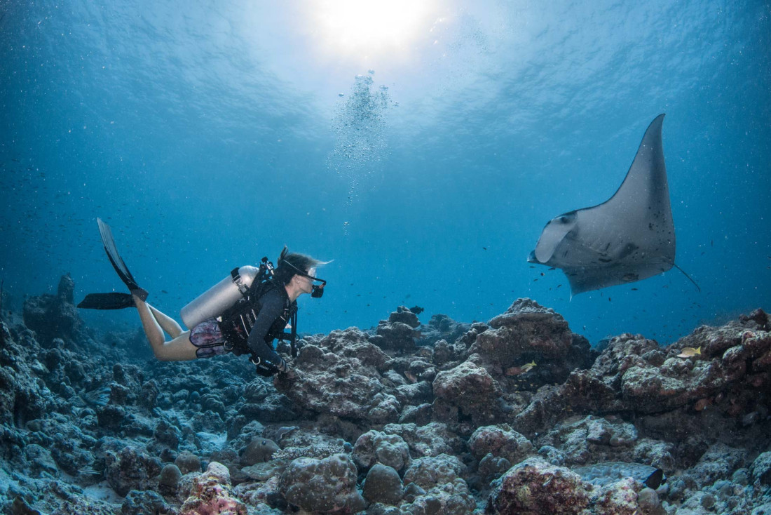 Plonger avec les raies manta au Maamunagau Resort © Simon Hilbourne
