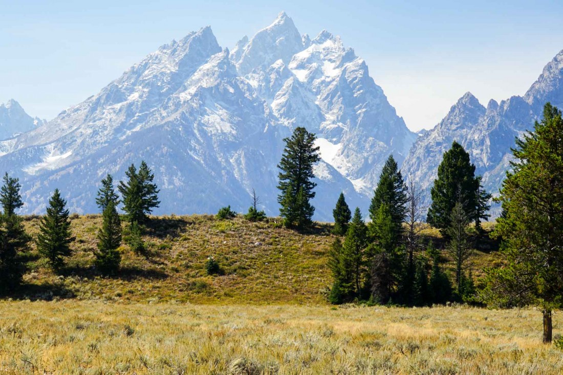 Sommets enneigés et plaines verdoyantes dans le Parc national de Grand Teton © YONDER.fr