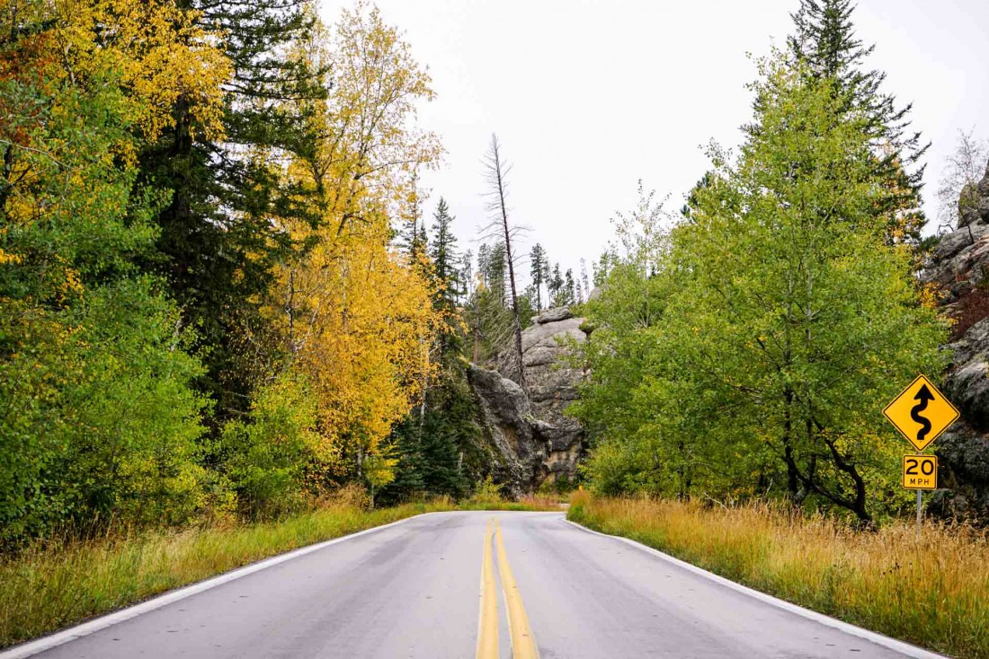 Sur une route du Custer State Park.