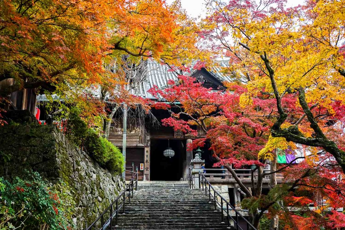 Le temple Hase-dera, à une heure de route de Nara, sublime dans son écrin automnal © YONDER.fr